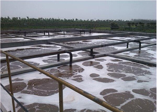 高盐废水介绍厂家生化处理的方法