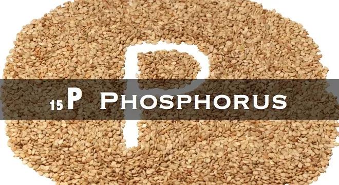 分享 | 某农化企业含磷废水处理案例分析